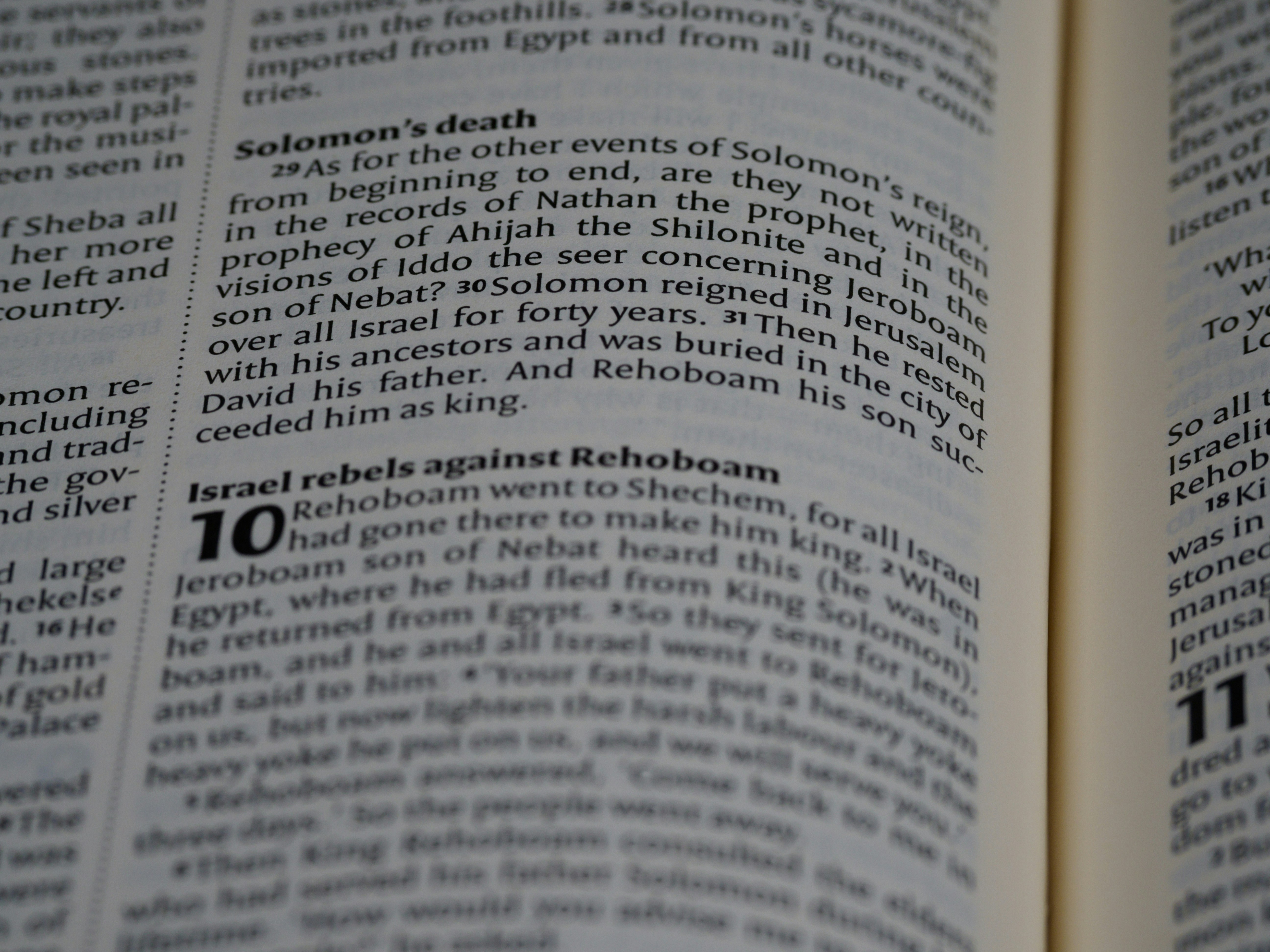close up, bokeh, macro, blur, blurred background, close focus, bible, old testament, hebrew bible, christian, judaism, history, text, reading, bible study, devotions, text, NIV, New International Version, type, typography, canon, christianity, holy scripture, holy bible, scripture, chronicles, 2 chronicles, דִּבְרֵי־הַיָּמִים, Diḇrê Hayyāmîm, hebrew bible, final book, ketuvim, tanakh, septuagint, Paralipoménōn, Books of Paralipomenon, second chronicles, historical, ancient near east texts, anet, <br>